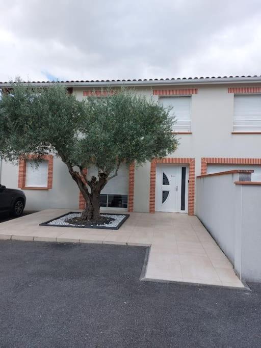 Apartmán T3 Climatise, Parking Et Jardin Quartier Des Marots A Colomiers Exteriér fotografie